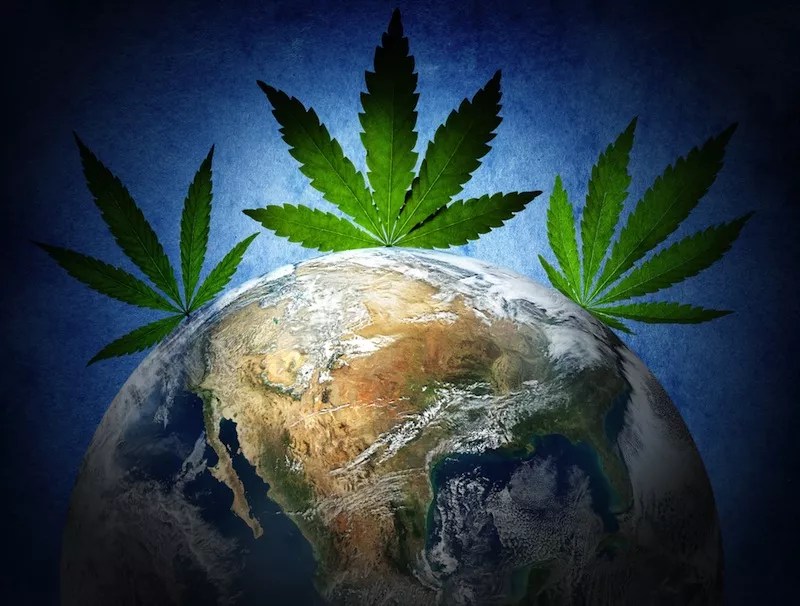 Environmental and Sustainable Attributes that Cannabis has to&nbsp;Offer